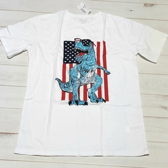 The Children's Place Other - The Children's Place Americana Dino Graphic Tee  XL (14) - New With Tags